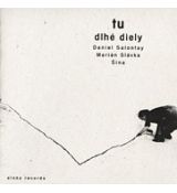 Daniel Salontay, Dlhé diely - Tu